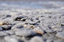 Соль на берегу озера Сасык-Сиваш