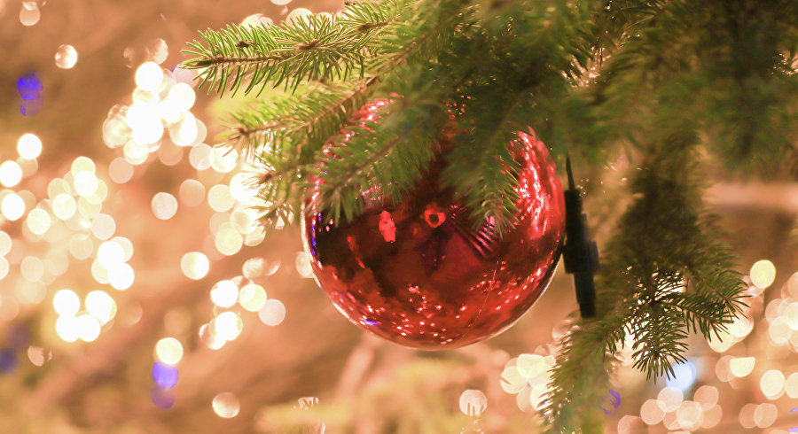 Зимние каникулы на полуострове: что посмотреть, попробовать и в чём поучаствовать