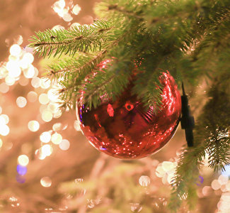 Зимние каникулы на полуострове: что посмотреть, попробовать и в чём поучаствовать