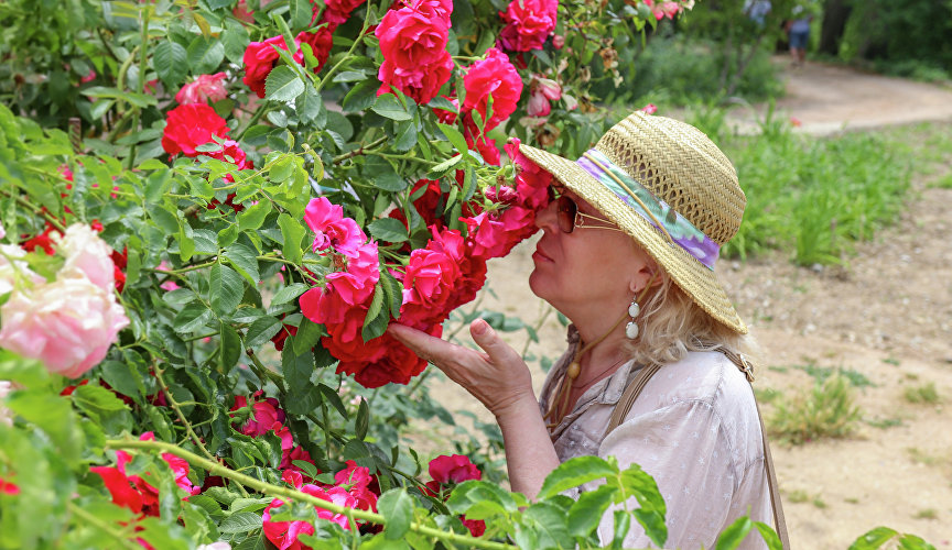 Женщина наслаждается ароматом роз в Никитском ботаническом саду