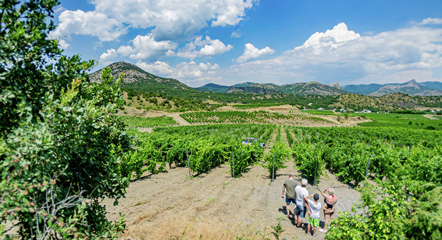 Экскурсионно-экологический пешеходный маршрут «Судакские панорамы» (этап 23.1) Экскурсионно-экологический пешеходный маршрут «Судакские панорамы» (этап 23.1)