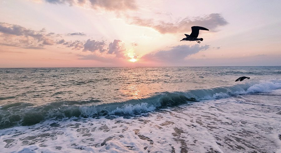 День Чёрного моря: самые интересные факты