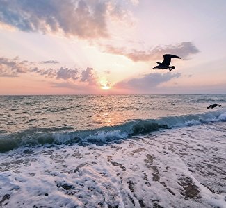 День Чёрного моря: самые интересные факты