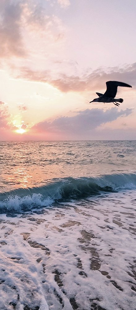 День Чёрного моря: самые интересные факты