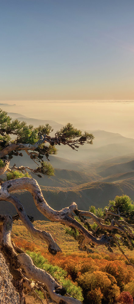 Лучшие места для фото в Крыму: фата-моргана, зодиакальный свет и соляные айсберги