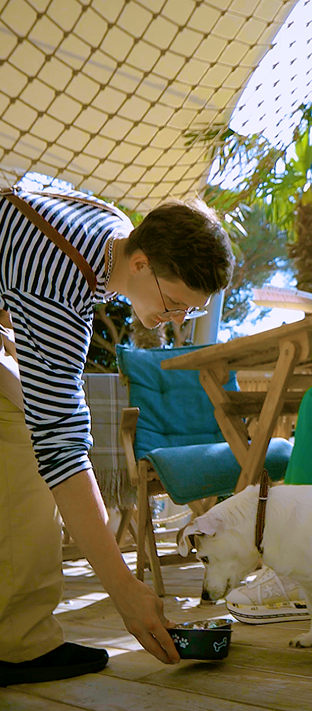 В какие рестораны Крыма можно с питомцами и где есть собачье меню