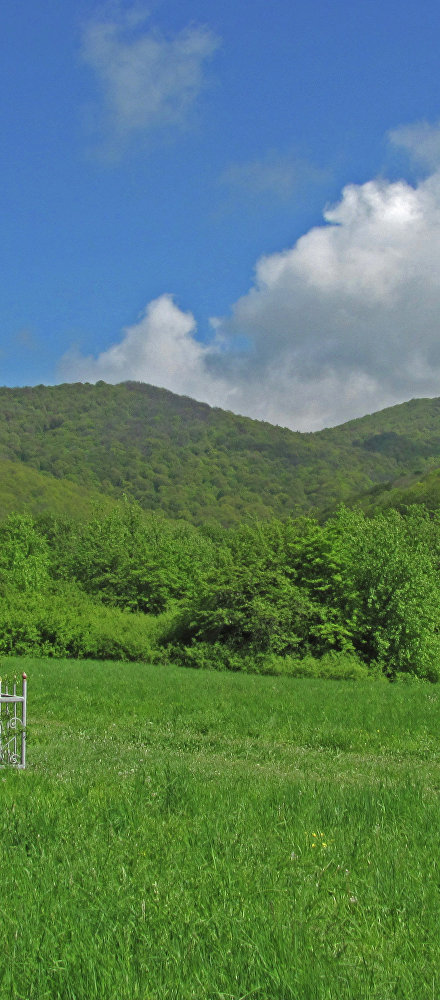 Экскурсионно-экологический пешеходный маршрут «Места боёв отряда 1-го Партизанского района» (этап 24)