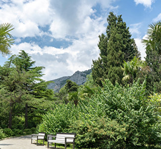 Топ старинных парков Крыма в санаториях и отелях: где живёт гармония природы и архитектуры