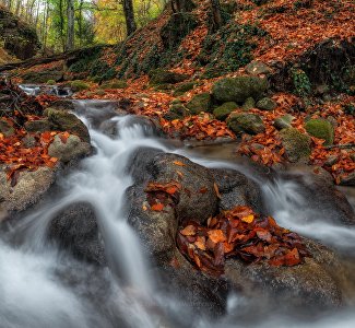В кадре – осень: где в Крыму сделать невероятные фото В кадре – осень: где в Крыму сделать невероятные фото